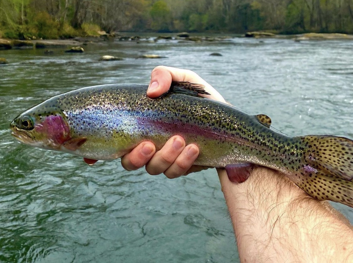 Fly Fishing the Lower Saluda River in Columbia, SC